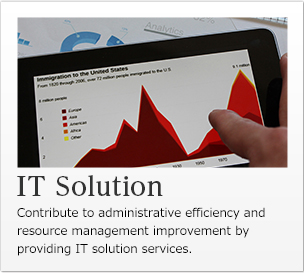 IT Solution Business 